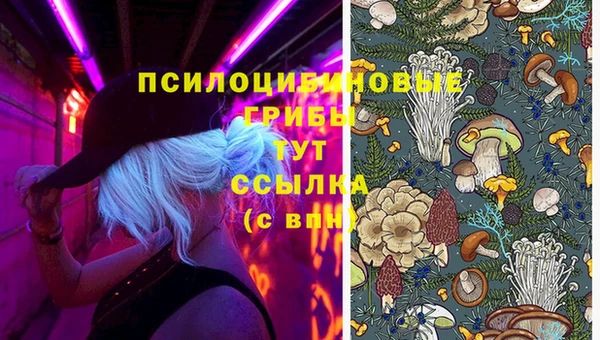 прущие крисы Балахна