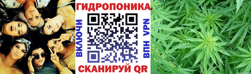 Шишки марихуана Amnesia Радужный